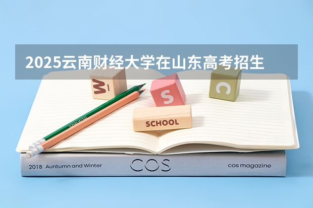 2025云南财经大学在山东高考招生计划介绍