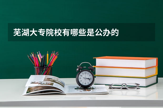 芜湖大专院校有哪些是公办的