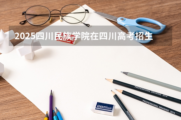 2025四川民族学院在四川高考招生计划介绍