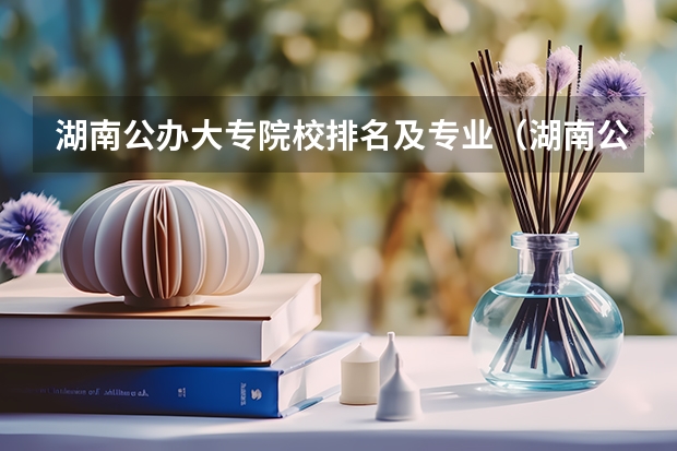 湖南公办大专院校排名及专业（湖南公办大专院校排名以及录取分数）