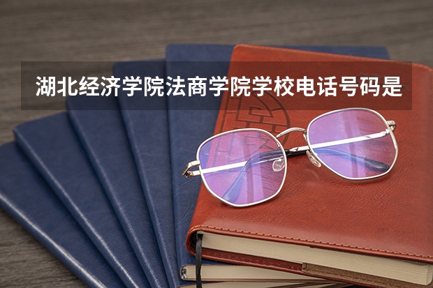 湖北经济学院法商学院学校电话号码是多少