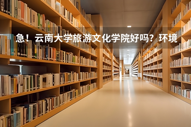 急!云南大学旅游文化学院好吗?环境好吗?公办还是民办的?文凭被承认吗?宿舍怎样?是三本吧?