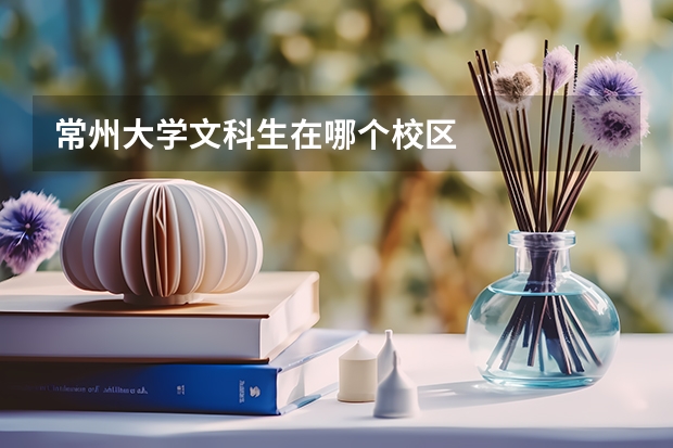 常州大学文科生在哪个校区