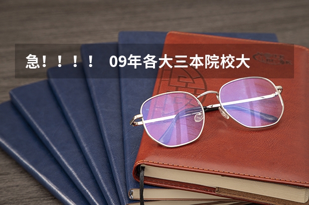 急!!!! 09年各大三本院校大概可以报考的分数(苏州大学分数线)