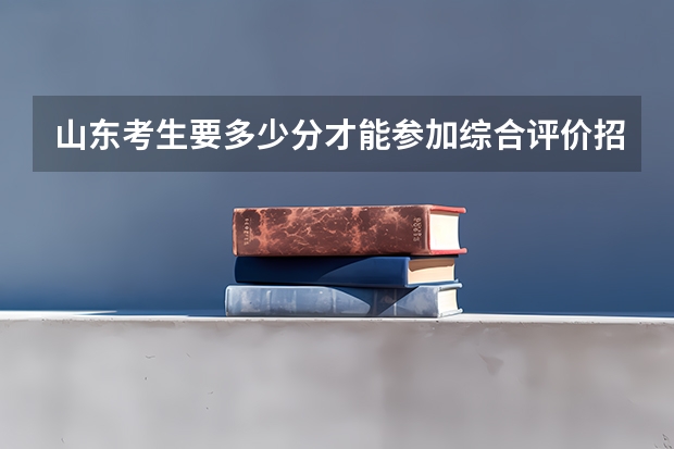 山东考生要多少分才能参加综合评价招生考试