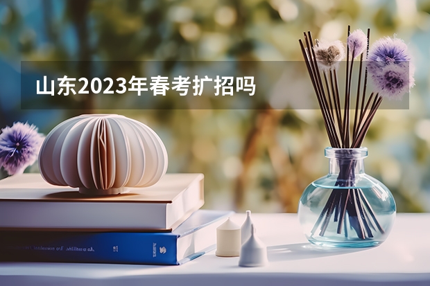山东2023年春考扩招吗
