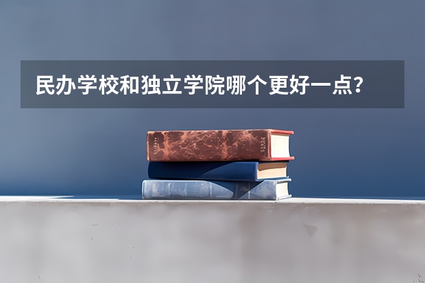 民办学校和独立学院哪个更好一点？