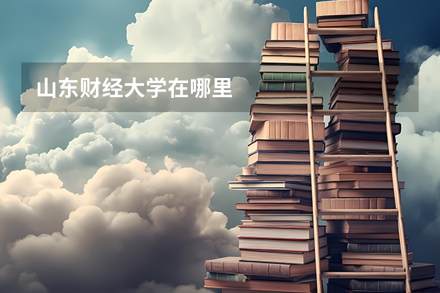 山东财经大学在哪里