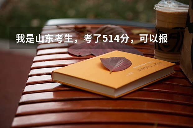 我是山东考生，考了514分，可以报省内的哪些大学啊？