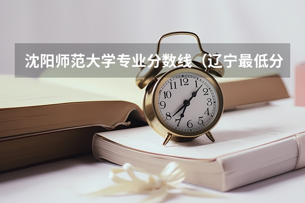 沈阳师范大学专业分数线（辽宁最低分二本大学-辽宁分数最低的本科大学公办（物理历史））