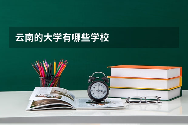 云南的大学有哪些学校