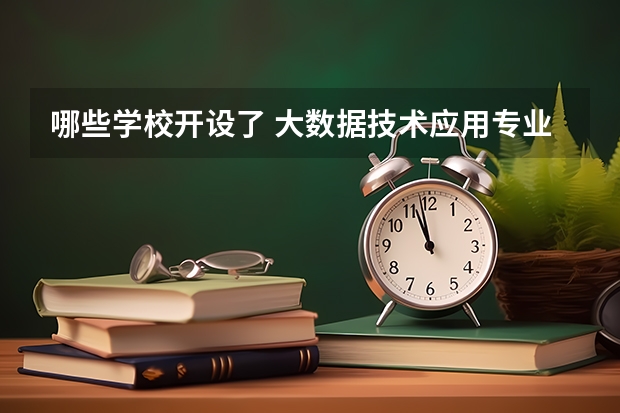 哪些学校开设了 大数据技术应用专业