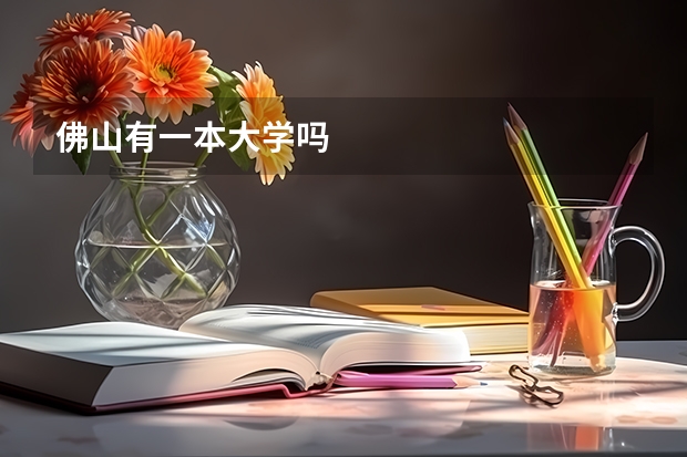 佛山有一本大学吗