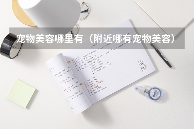 宠物美容哪里有（附近哪有宠物美容）